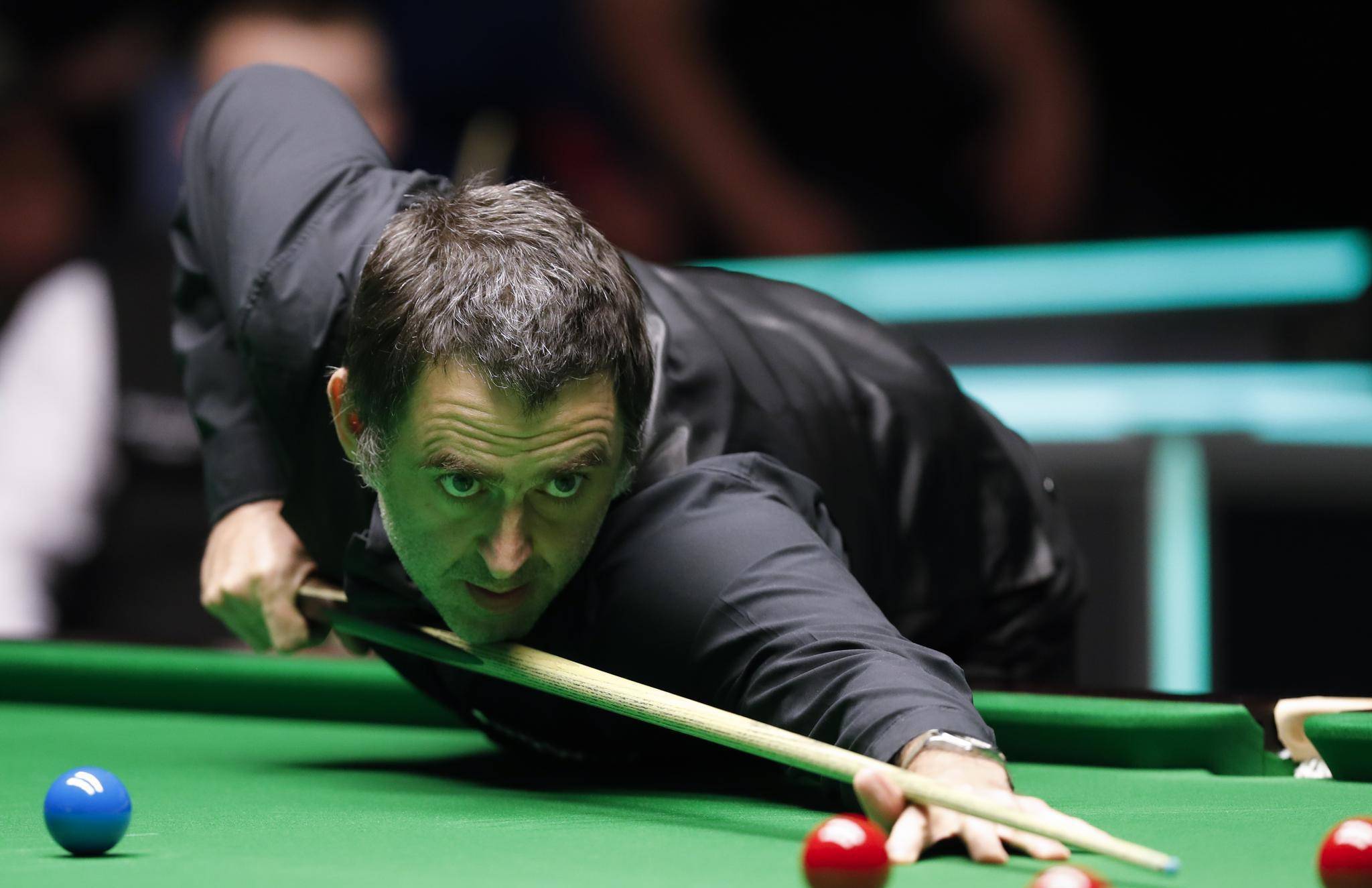 更是他们拼 更是他们拼