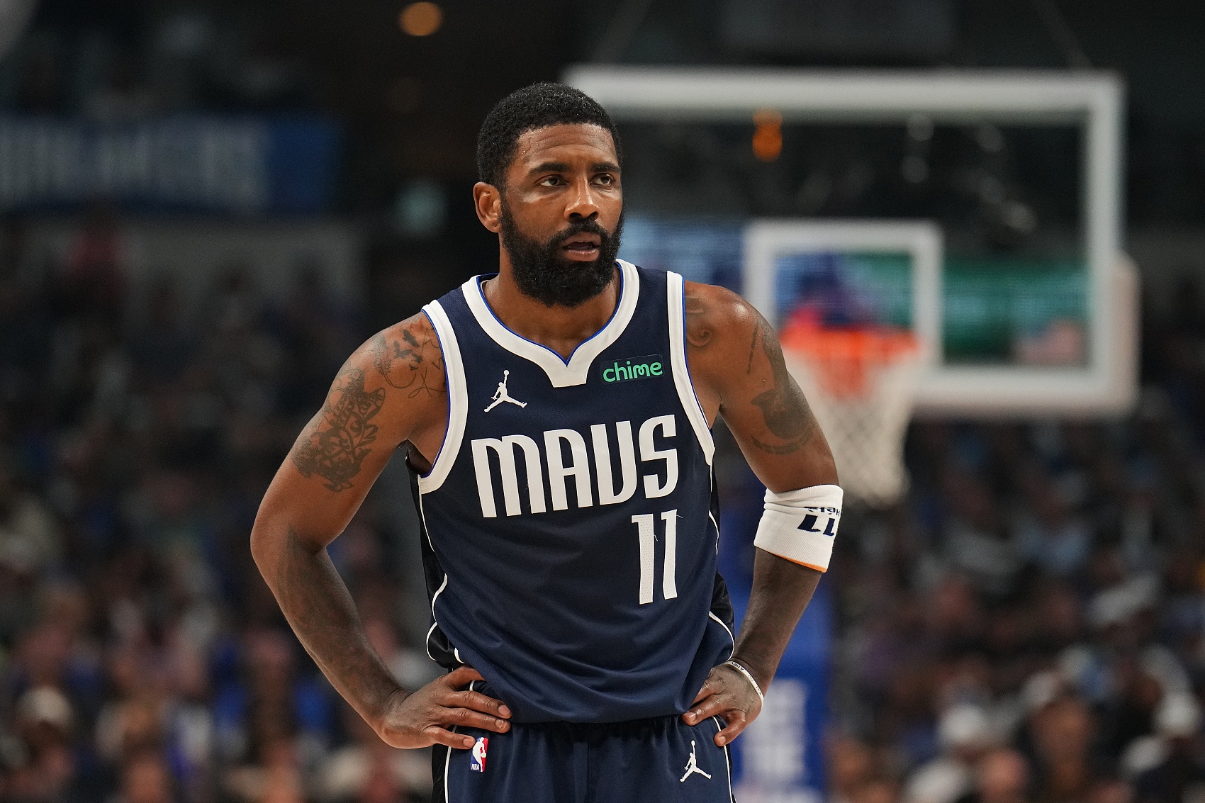 仅因为两只 仅因为两只